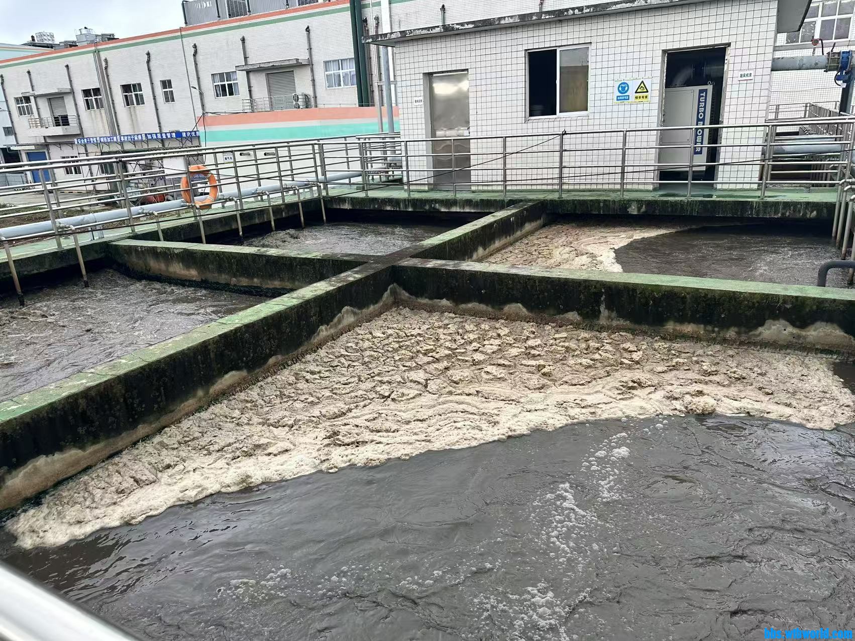 好氧池表面泡沫堆积