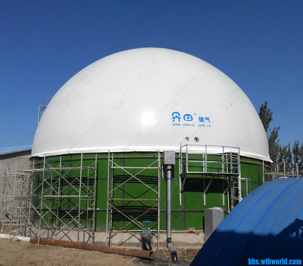 DSCN0193.jpg
